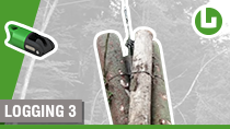 Silvicultura: Ludwig Choker en nuestro cliente Pfingstl